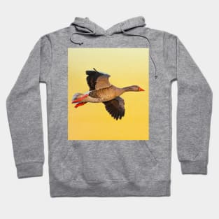 Greylag goose sunset Hoodie